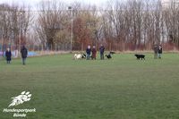Hundefreilauf Hundewiese Kreis Herford Hundeschule Nicole Gudd Hundesportpark B&uuml;nde Hundefreilauf B&uuml;nde138